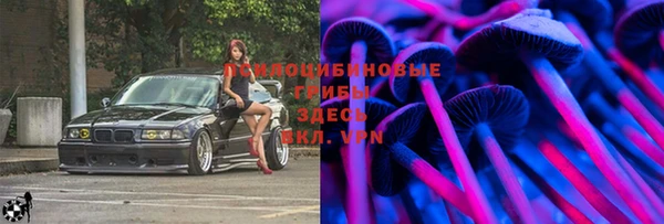 дживик Дмитриев
