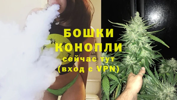 дживик Дмитриев