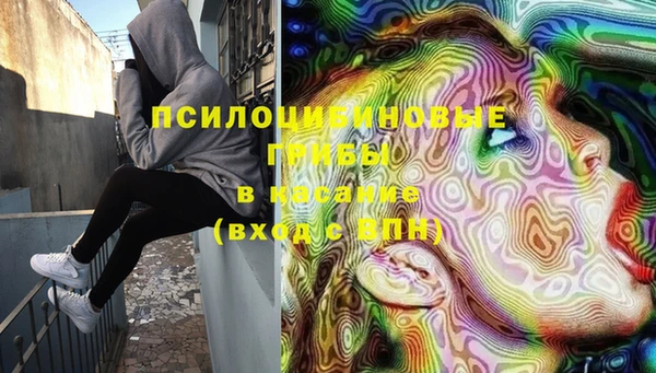 дживик Дмитриев