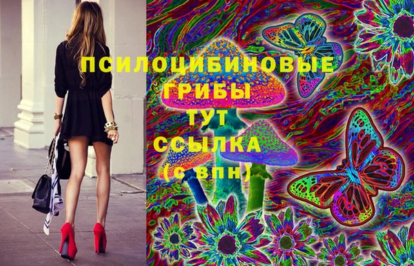 спиды Дмитровск